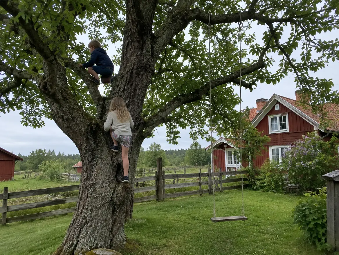 Barn klättrar i ett gammalt träd vid en röd gård på landet