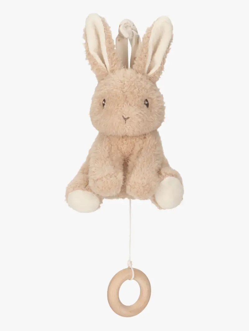 Little Dutch Bunny