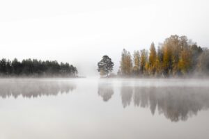 stjärtmes annat namn